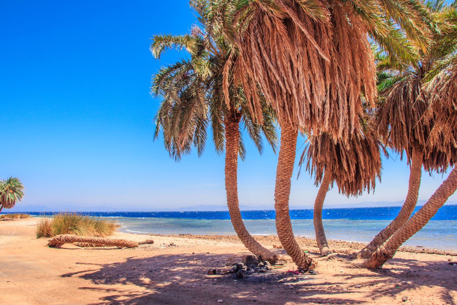 Three Pools Dahab: A Snorkeler’s Paradise of Coral, Calm, and Crystal Waters